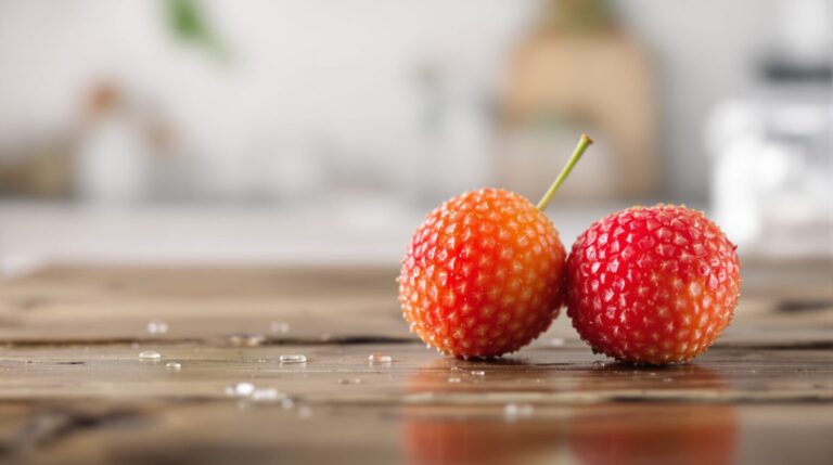 bienfaits litchi en boîte
